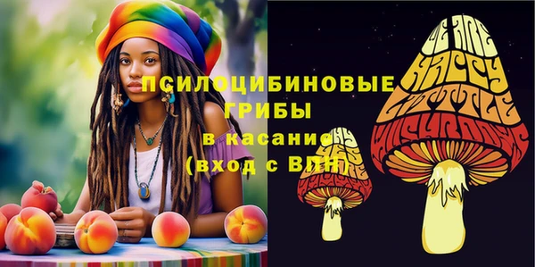 МДПВ Абдулино
