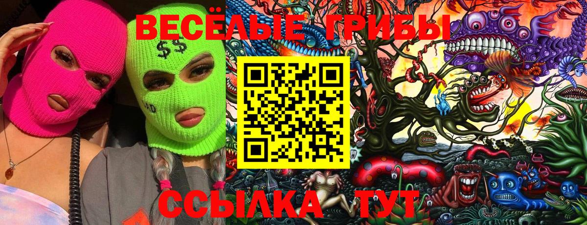 Норильск  цены наркотик  Вход с VPN  Галлюциногенные грибы мухоморы 