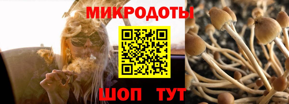 Галлюциногенные грибы Magic Shrooms Норильск