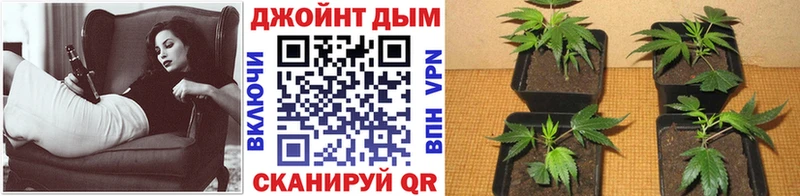 Каннабис семена магазин наркотиков Норильск